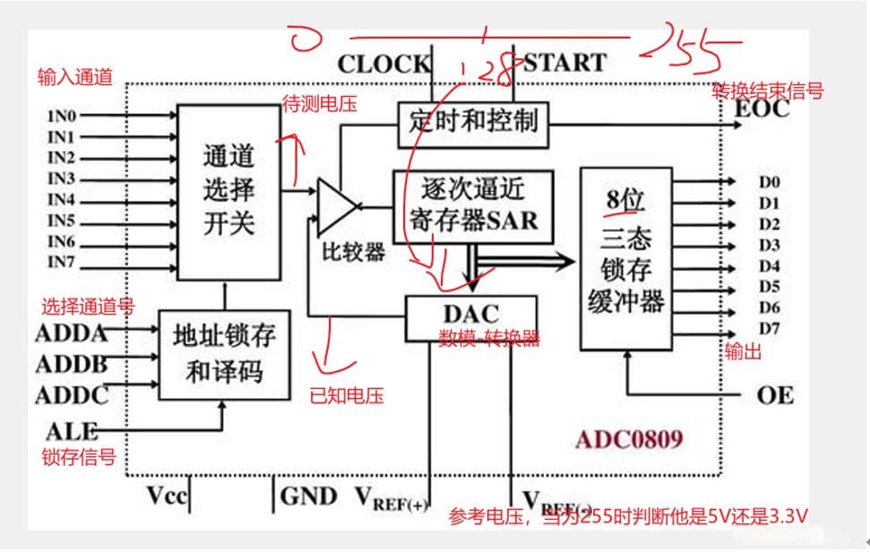 STM32F103C8T6的ADC功能详解