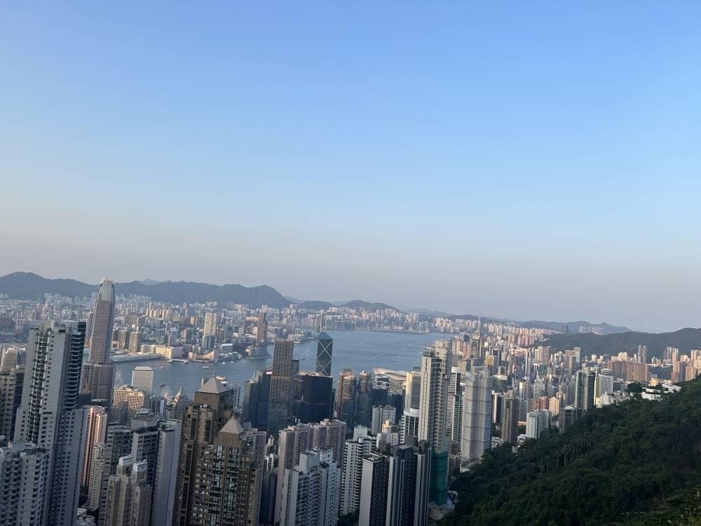 打击资本市场财务造假新规，对A股有什么影响？