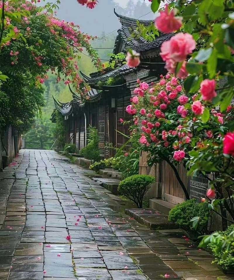 一场隐晦交织的联姻臆想——透视中金公司与中国银河证券合并的种种迹象与深层逻辑