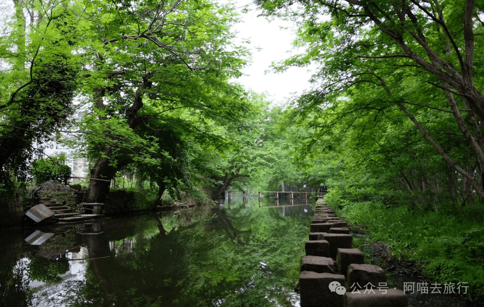 安徽这个被严重低估的千年秘境古村！可以溯溪耍水、绿野仙踪，还不要门票