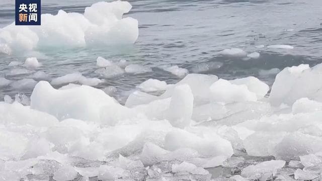 南极冰架融水量远超预期，65%本土物种或在本世纪末消失