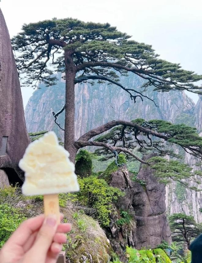 黄山5天4晚深度游：980元玩转黄山精华景点