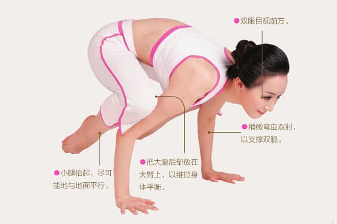 瑜伽体式详解：起重机式（鹤禅式）