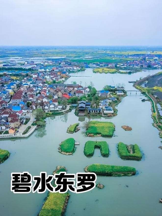 兴化两日游：油菜花海与水上森林的完美邂逅