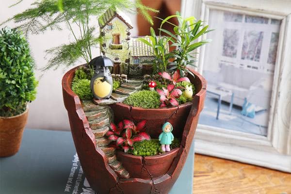 苔藓微景观制作方法 苔藓微景观养护