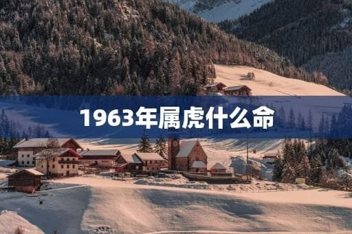 1963年属虎什么命
