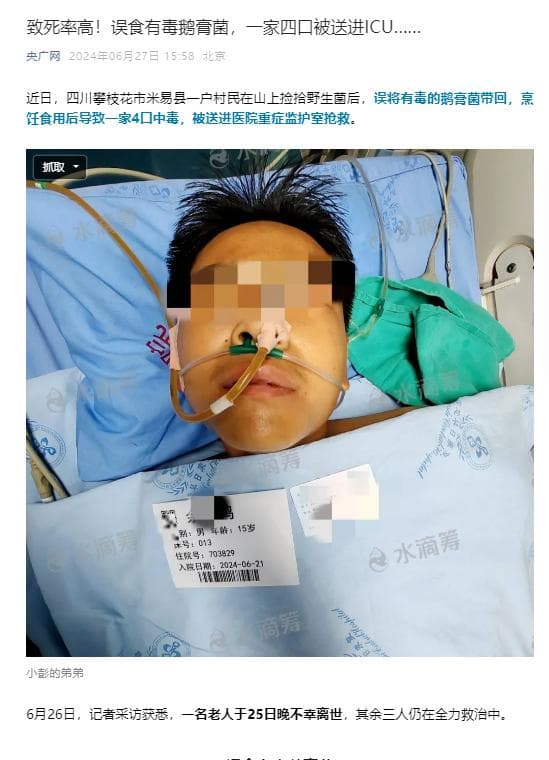 紧急提醒！小心蘑菇界的“毒王”