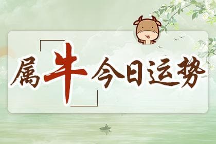 属牛人今日运势详解：综合、爱情、事业、财富全方位解析