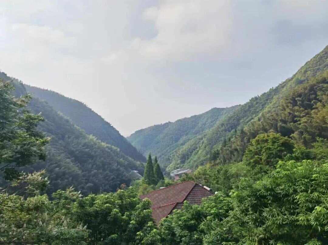 社科基金活页的“主要目标、重点难点、研究计划、可行性”该如何写？