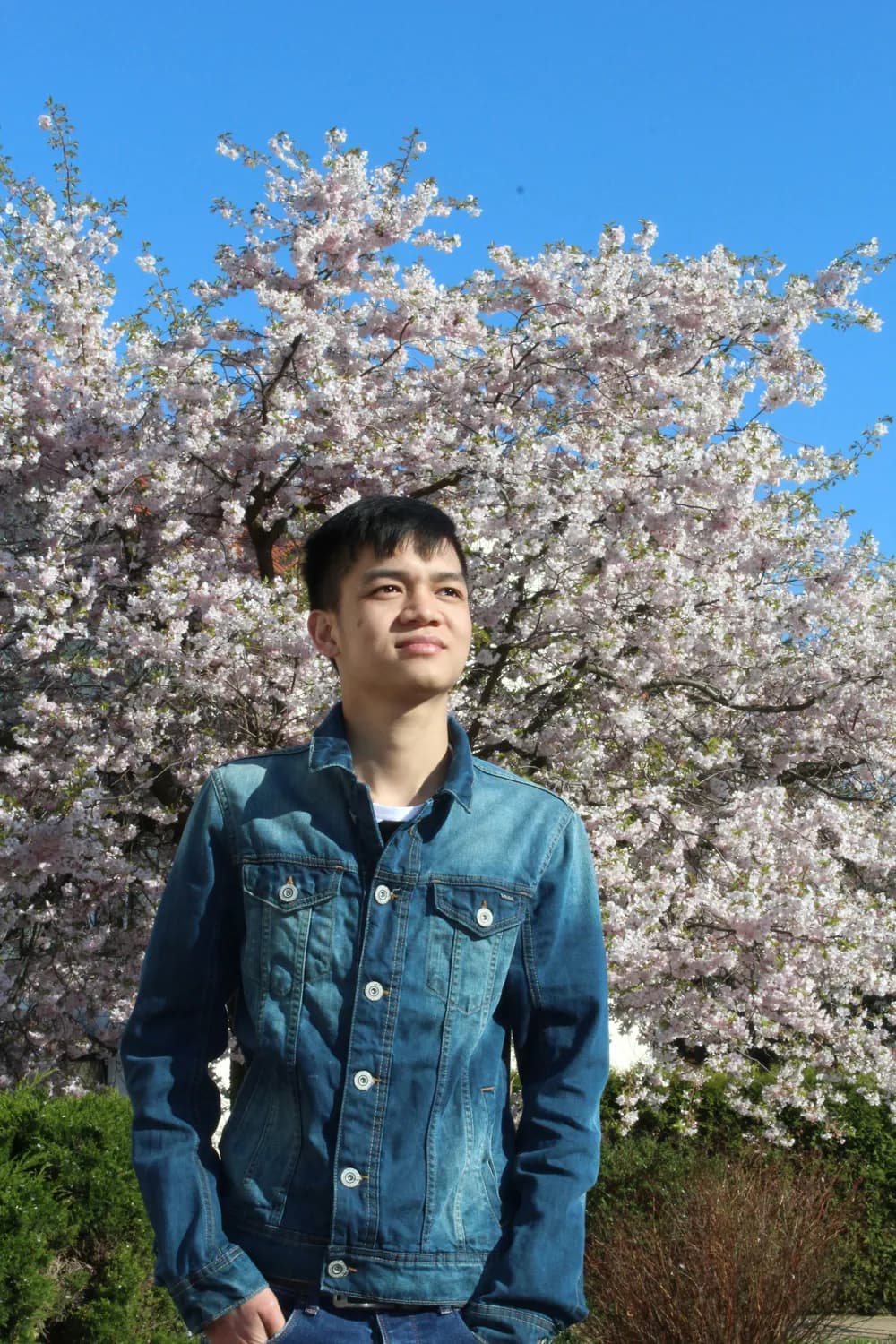 辅导员如何点燃学生学习热情：从活动设计到心理辅导