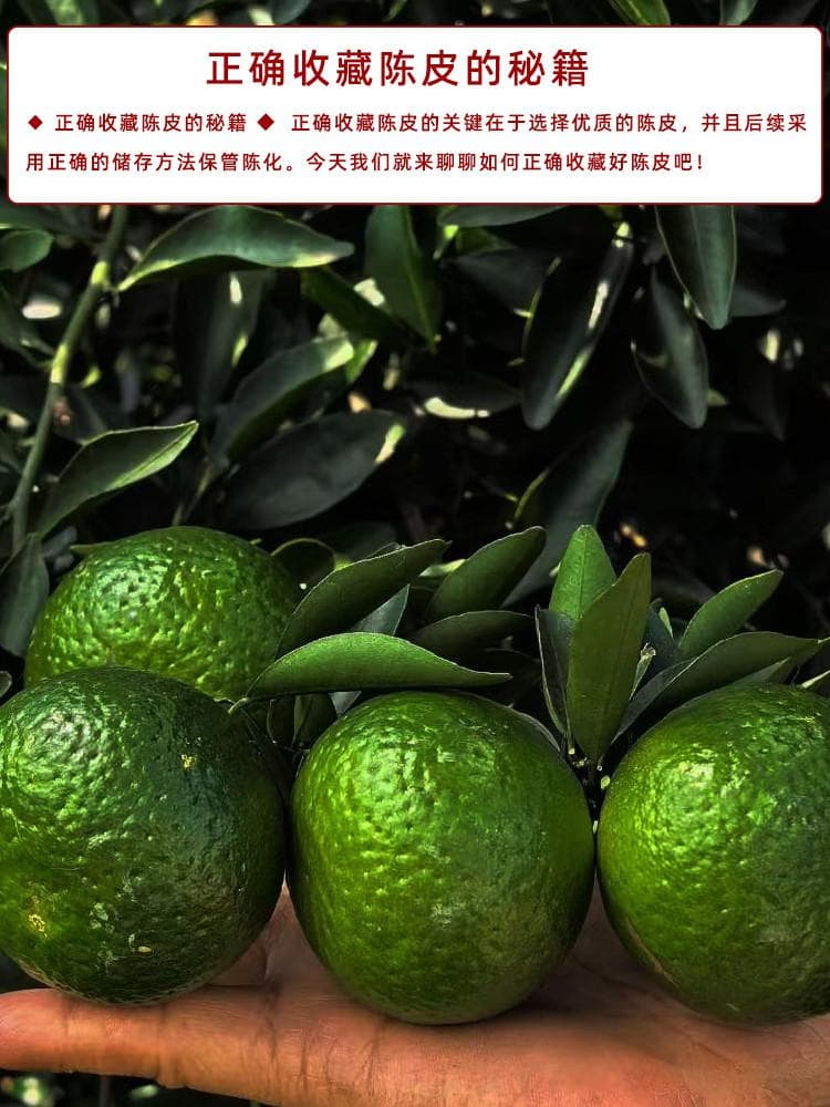 如何正确收藏好陈皮？