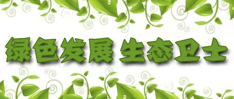 艾比湖湿地生态治理成效显著