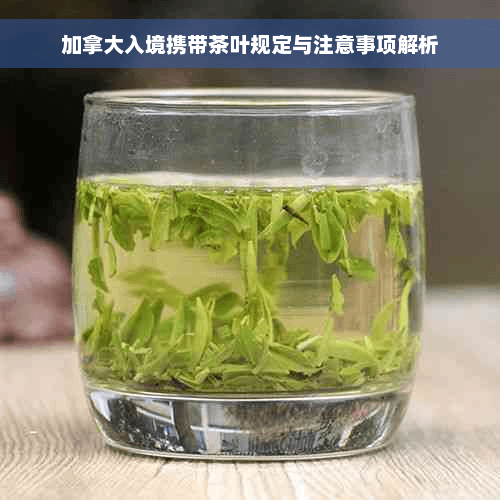 加拿大入境携带茶叶规定与注意事项解析