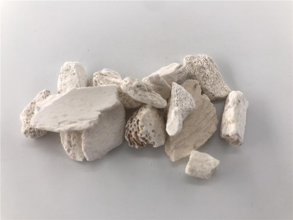 龙骨的功效与作用