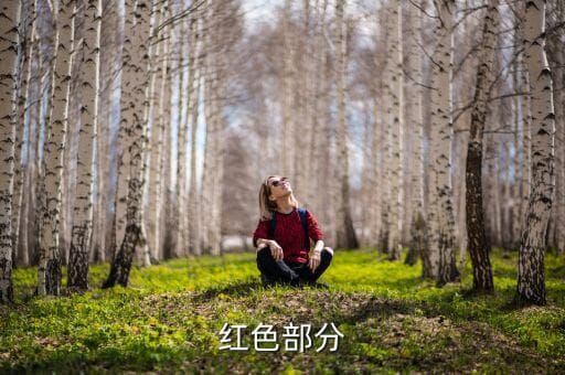 政府公文的红色怎么调,如何在公文中添加红色横线?