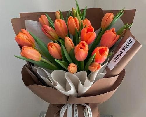郁金香不同颜色的花语有何不同含义？