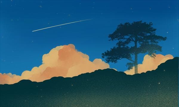 2024国际合作办学本科国外就读能否转回国内读书