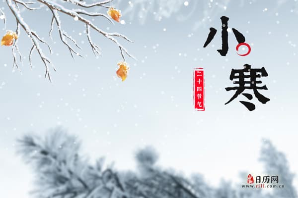 冷知识：小寒大寒谁更冷？