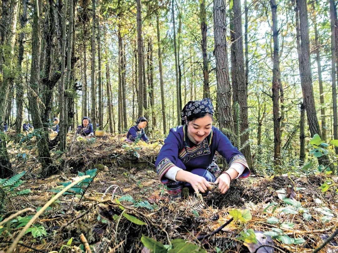 湖南怀化：走出生态产品价值实现新路径