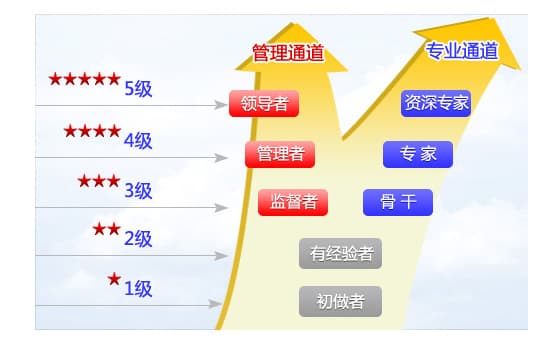 任职资格体系构建：企业人才管理的科学化路径