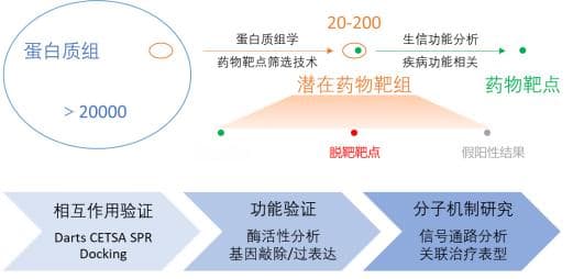 从思路到方法，一文讲清药物靶点的筛选与验证