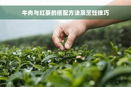 牛肉与红茶的搭配方法及烹饪技巧