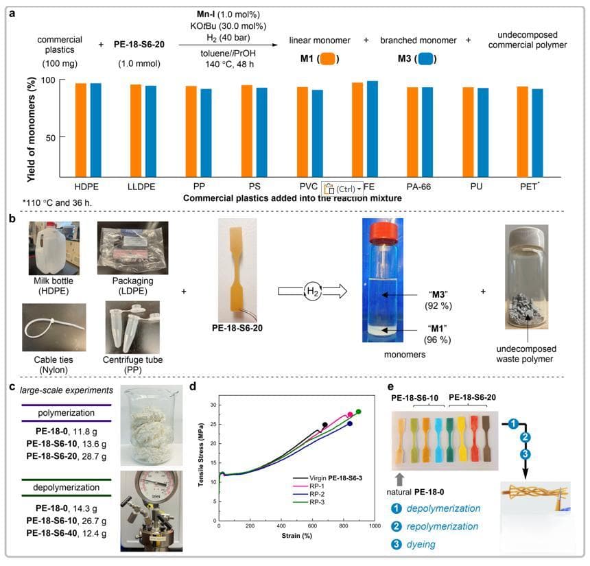 科罗拉多州立大学开发可回收生物基类聚烯烃材料，为塑料可持续发展提供新方案