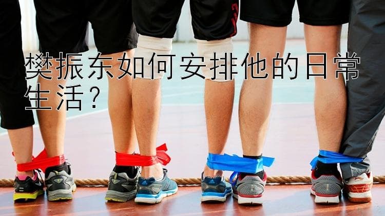 樊振东如何安排他的日常生活？