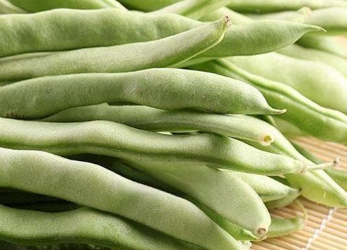 延长新鲜蔬菜保鲜时间的方法（有效保存新鲜蔬菜）