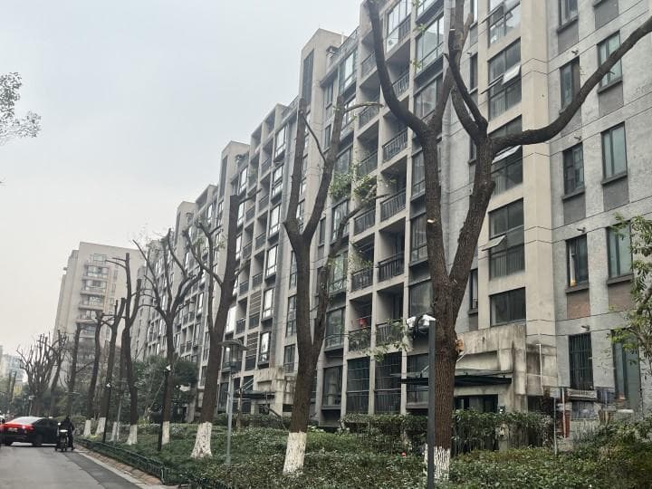 亲亲家园的树木修剪有没有过度？ 专家说最起码要保留“三级分枝”