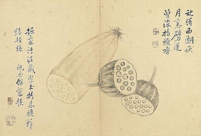 风物二十四节气｜小暑：倏忽温风至，家家晒红绿