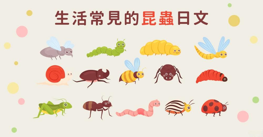 蜘蛛带来好运？十种常见昆虫在日本的文化象征