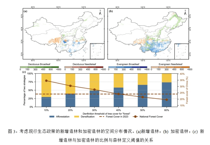 中国科学院研究：森林加密造林可带来更高碳收益