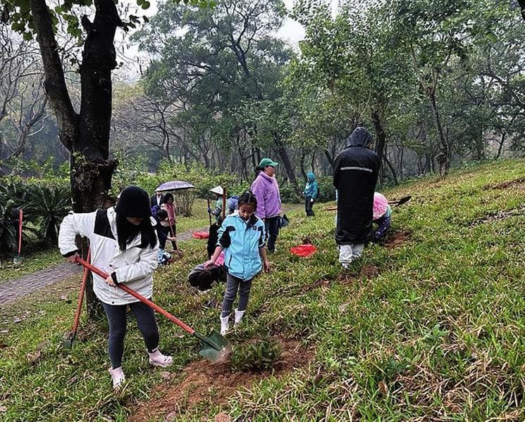 今日植树节：如何实现家门口的"码上种树"？