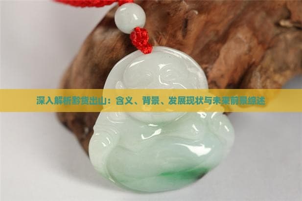 深入解析黔货出山：含义、背景、发展现状与未来前景综述
