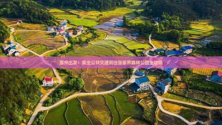 惠州出发：乘坐公共交通前往张家界森林公园全攻略