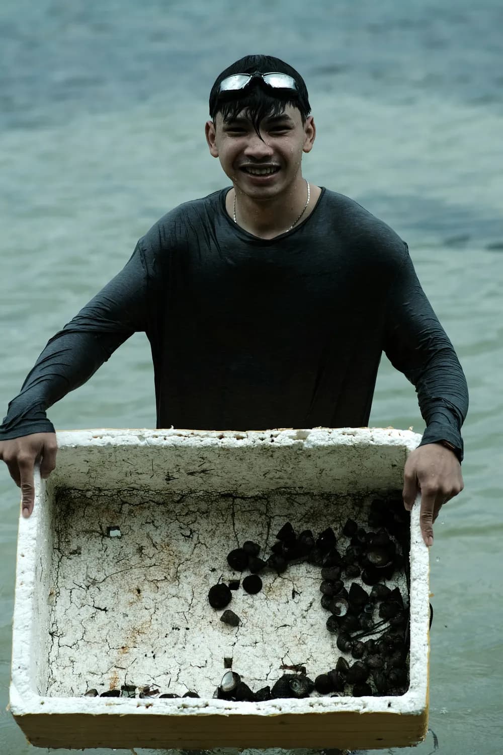 圈养海参价格暴跌，海参产业如何破局？