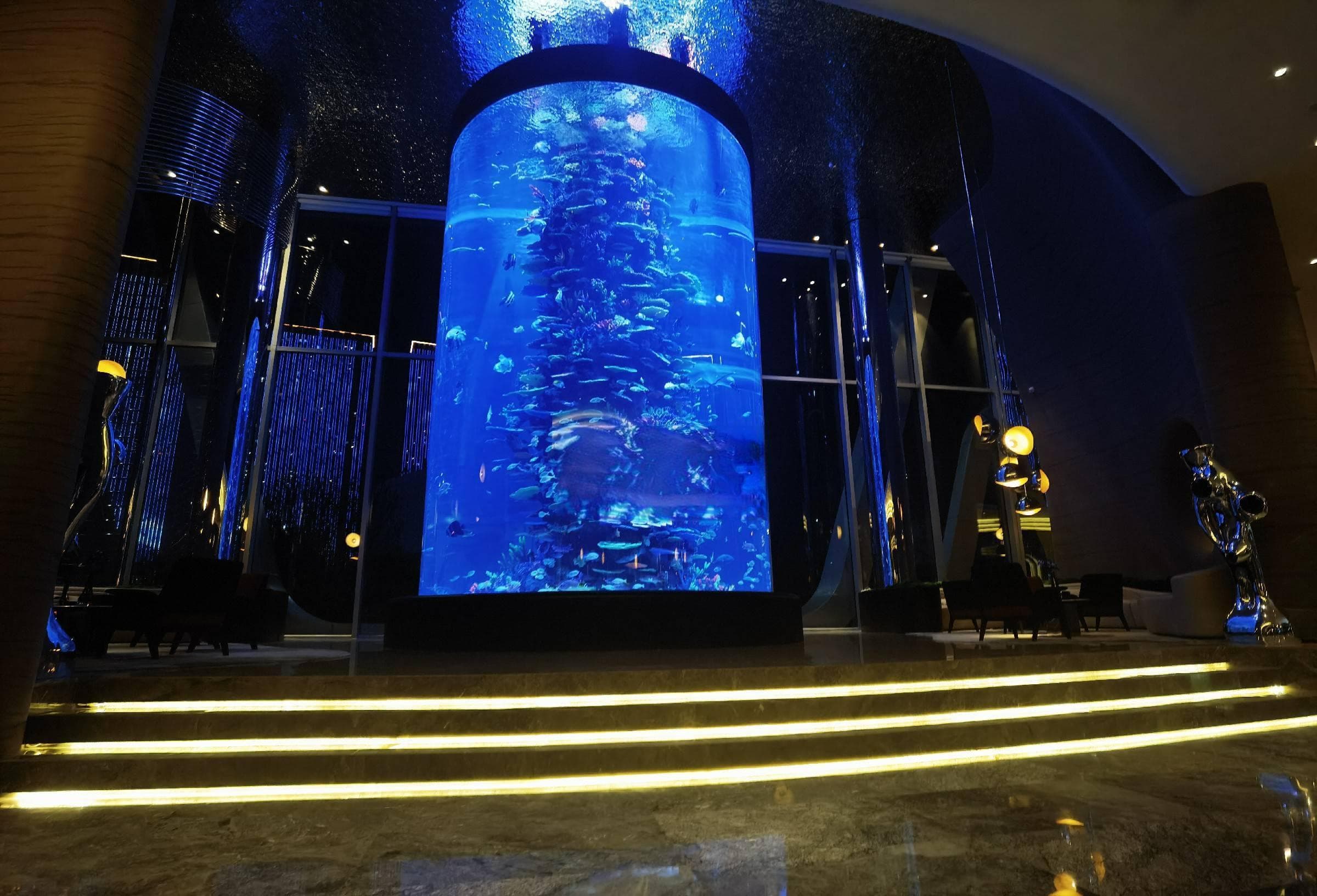 亚克力鱼缸成新宠：大型水族景观设计施工全攻略