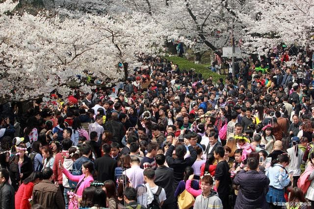 996上班制还没适应，896又来了，30年前实行的双休制度如今去哪了