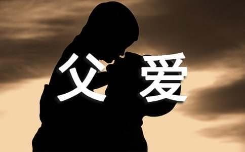 父爱的细节描写