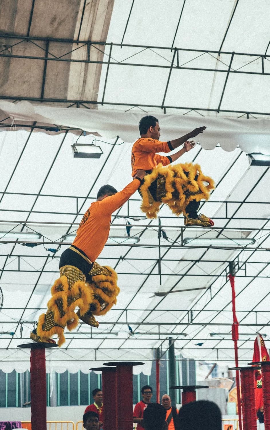 舞狮登高：从"太平乐"到世界舞台