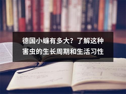 德国小蠊有多大？了解这种害虫的生长周期和生活习性