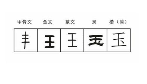 王字旁有哪些汉字？