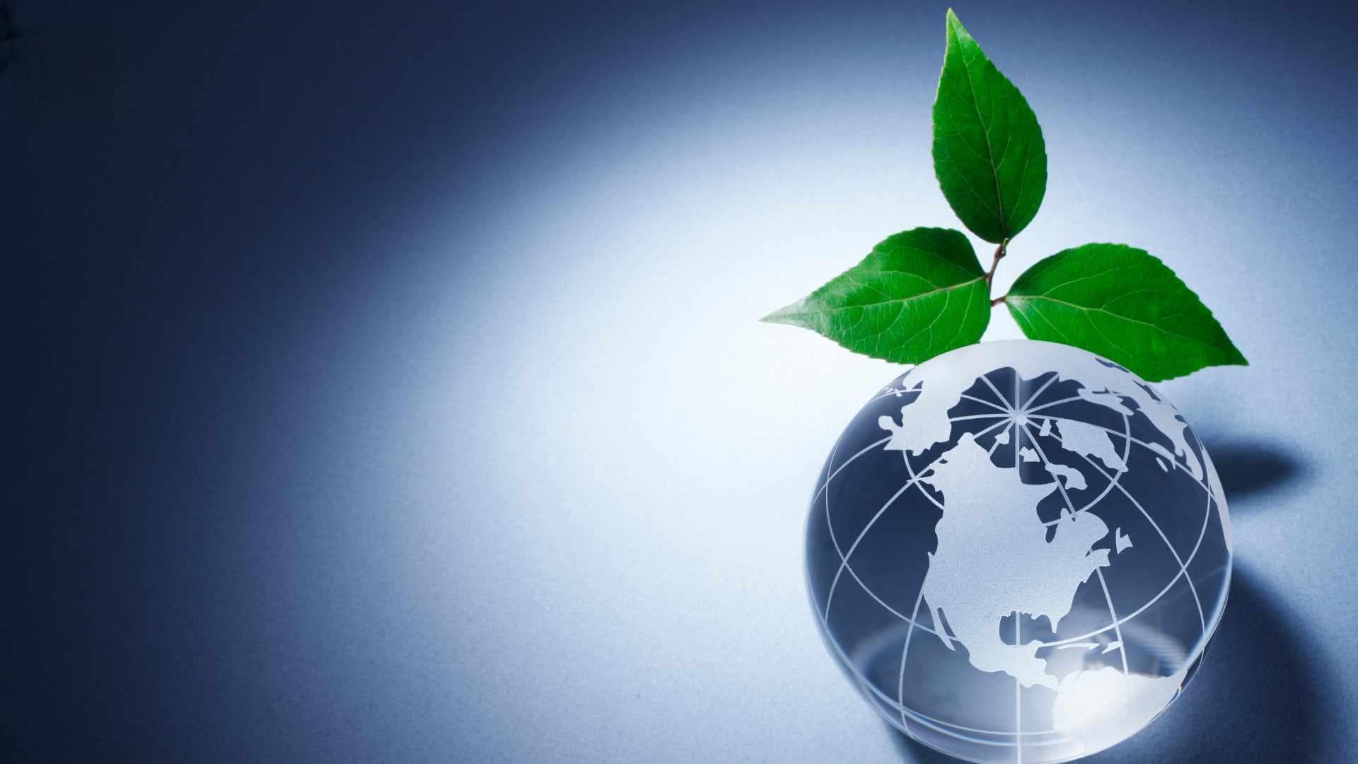 数字环保主义的兴起：社交媒体作为变革的工具