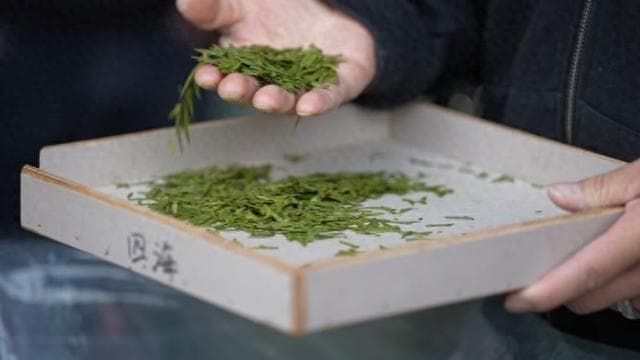 乌牛早上市、茶主播抢眼……“中国绿茶第一市”交易忙