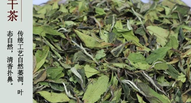 寿眉是什么茶？多钱一斤，产地，功效作用