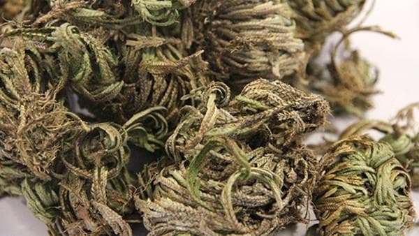 甘露醇的药理作用