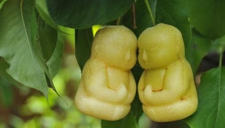 洪荒时期：混沌初开，十大先天灵根