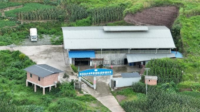 记者暗访：四川开江五家非法屠宰厂乱象曝光