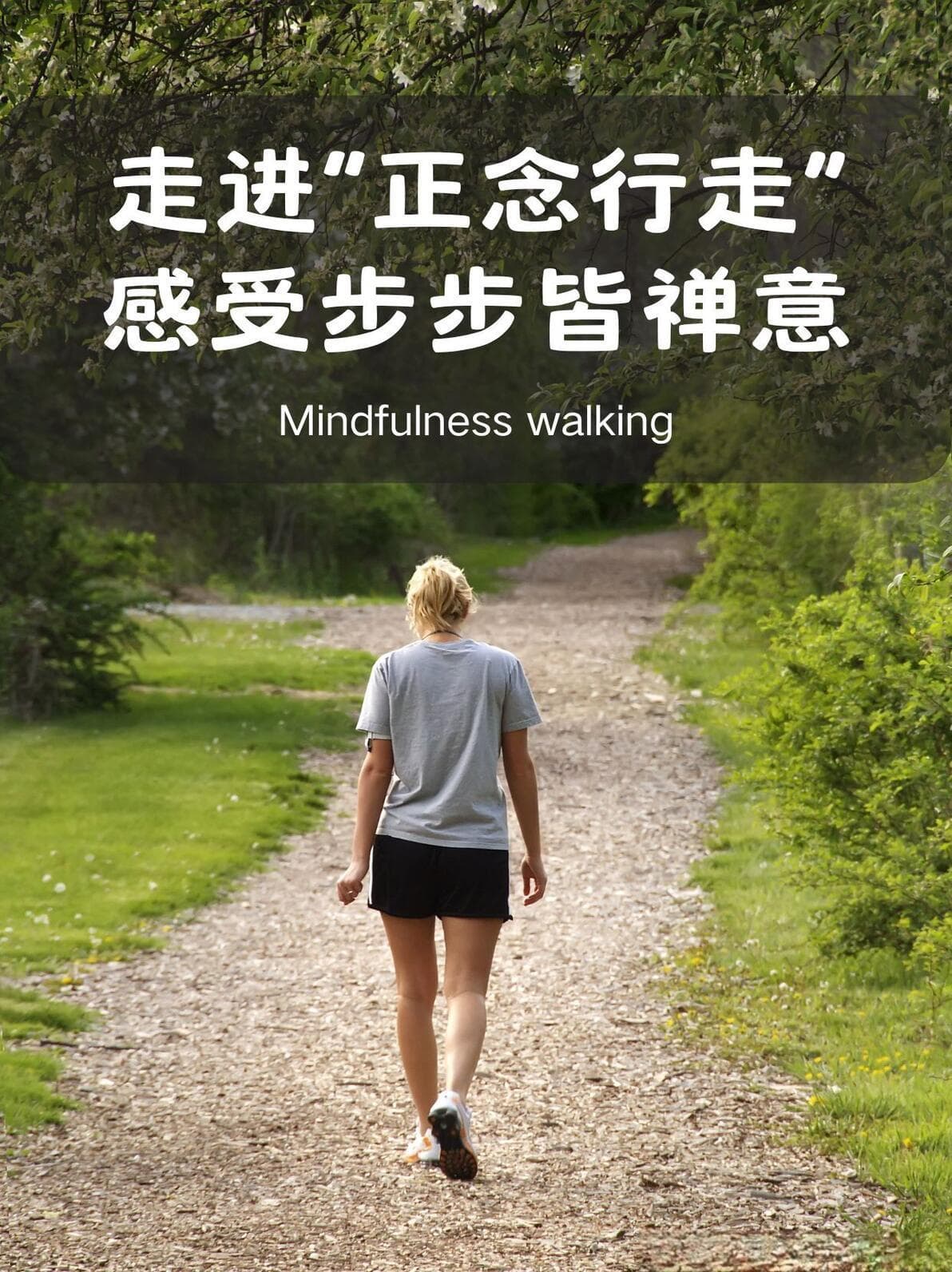 走进“正念行走”，感受步步皆禅意！